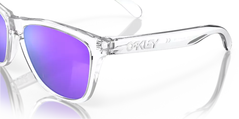 Oakley Frogskins Sunglasses | evo