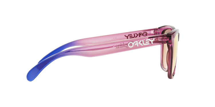 Oakley Sunglasses ALPINE COLLECTION FROGSKINS Pink/Pink OO9013-73
