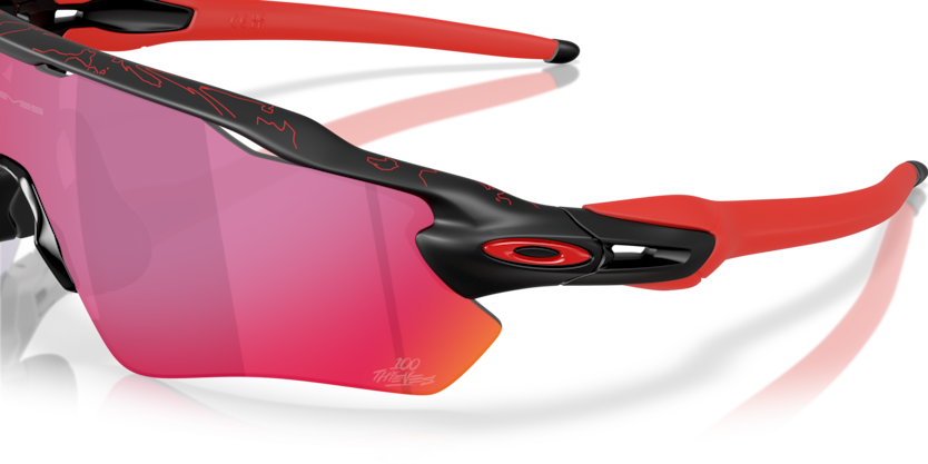Oakley Sunglasses RADAR EV PATH OO9208-G2