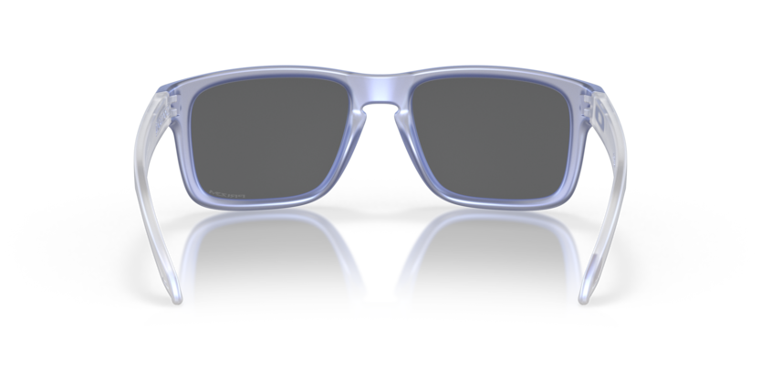 Oakley Sunglasses HOLBROOK Dark matte stonewash opaline/Prizm black OO9102-X8